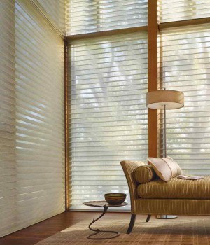 Window Shadings and Privacy Sheers